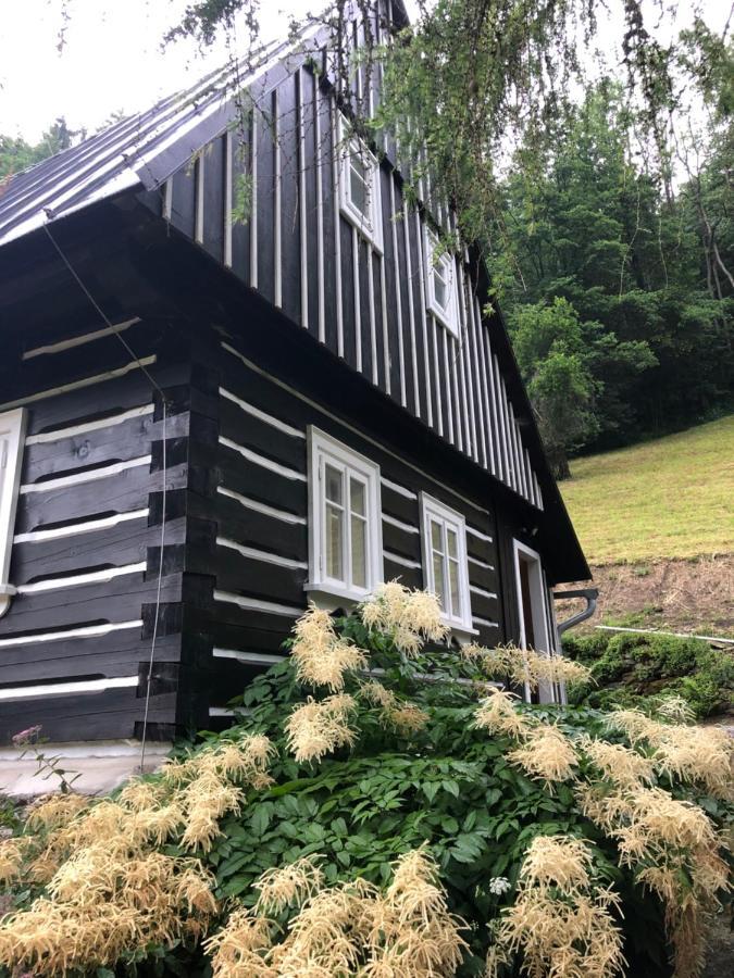 Roubenka Bratrouchov Βίλα Jablonec nad Jizerou Εξωτερικό φωτογραφία
